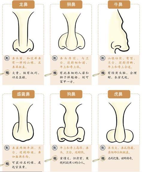 克夫鼻|九种克夫面相